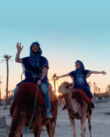 Camel ride Tour in Palm Grove